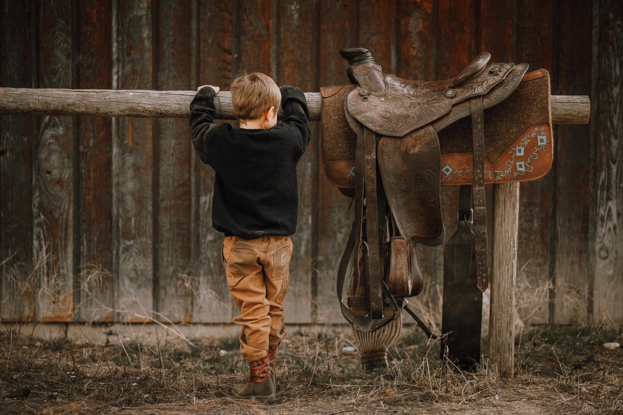 Equine-Assisted Learning at Spur Valley Horses